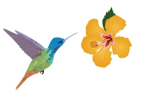 Vector Floral Background Stock Illustration