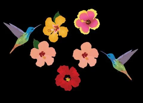 Vector Floral Background Stock Illustration