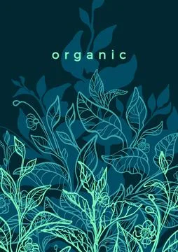 Vector floral background. Nature hand drawn illustration, art line botanical  Stock Illustration