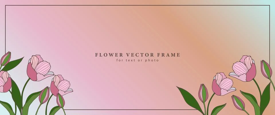 Vector floral background for text or photo with pink tulips. Stock Illustration