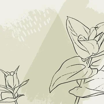 Vector floral background with wild hand drawn flowers. Illustrazione stock