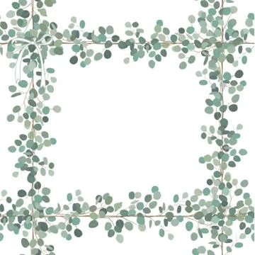 Vector floral card design: Eucalyptus silver dollar greenery leaf frame. Squa Stock Illustration