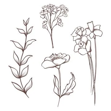 Vector floral collection. Hand drawn set Flowers and leaves. Blooming Stock Illustration