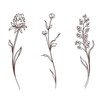 Vector floral collection. Hand drawn set Flowers and leaves. Blooming Stock Illustration