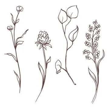 Vector floral collection. Hand drawn set Flowers and leaves. Blooming Stock Illustration