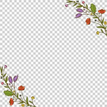 Vector floral corner border is showing on transparent background with multicolor Illustrazione stock