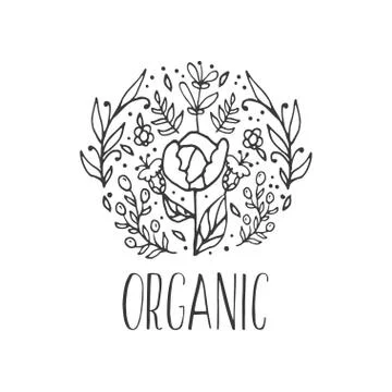 Vector floral decorative background. Organic herbs and wild flowers Stock Illustration