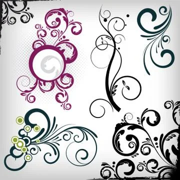 Vector floral design elements / collection Stock Illustration