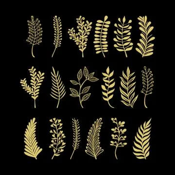 Vector floral elements in doodle style - flowers and leaves Stock Illustration