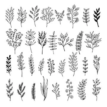 Vector floral elements in doodle style - flowers and leaves Stock Illustration