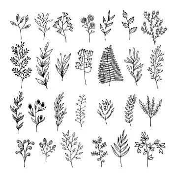 Vector floral elements in doodle style - flowers and leaves Stock Illustration