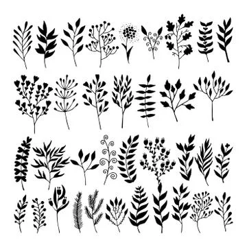 Vector floral elements in doodle style - flowers and leaves Illustrazione stock