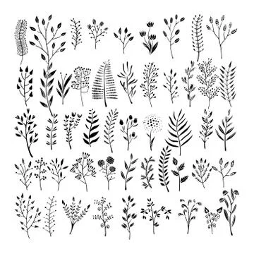 Vector floral elements in doodle style - flowers and leaves Stock-Illustration