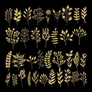 Vector floral elements in doodle style - flowers and leaves 스톡 일러스트