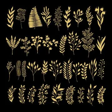 Vector floral elements in doodle style - flowers and leaves Stock Illustration