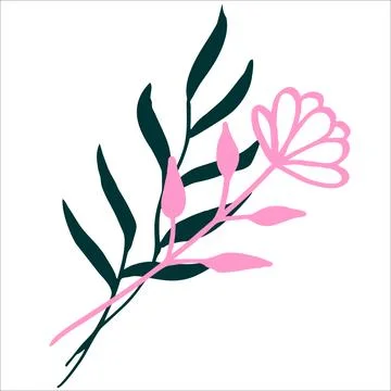 Vector floral elements isolated on white	 Stock Illustration