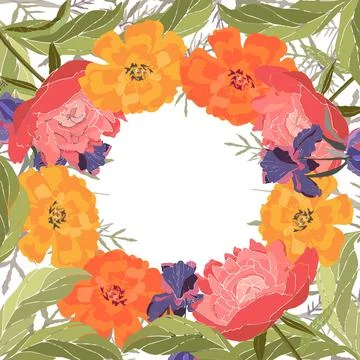 Vector floral frame, card. Peonies, irises, marigolds, tagetes. Stock Illustration