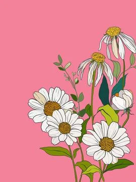 Vector floral interior poster of chamomiles and daisies. Hand painted floral Stock Illustration