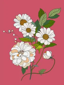 Vector floral interior poster of chrysanthemums and daisies. Hand painted floral Stock Illustration