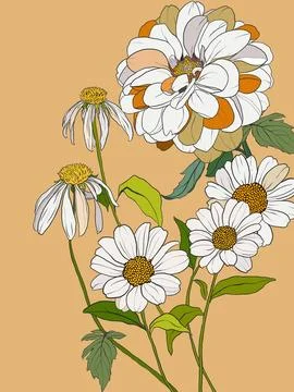 Vector floral interior poster of white daisies, chamomiles and chrysanthemums Stock Illustration