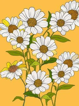 Vector floral interior poster of white daisies. Hand painted floral illustration Stock Illustration