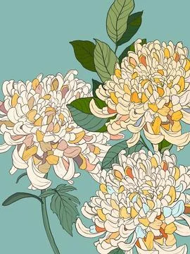 Vector floral interior poster of white and beige chrysanthemums. Hand painted Stock Illustration