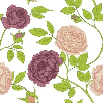 Vector floral pattern Stock Illustration