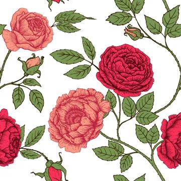 Vector floral pattern Stock Illustration