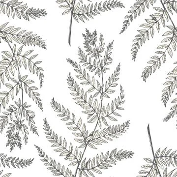 Vector floral pattern Stock Illustration