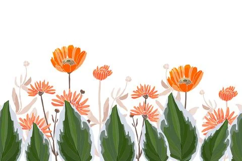 Vector floral seamless border, pattern. Spring, summer flowers. Illustrazione stock