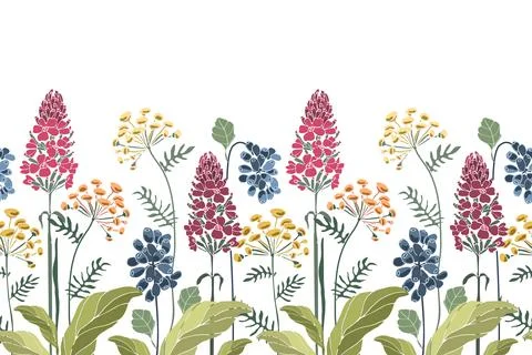 Vector floral seamless border, pattern. Spring, summer flowers. Stock Illustration