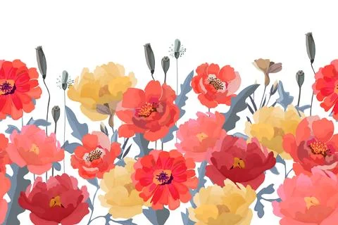 Vector floral seamless horizontal pattern, border. Poppies, peonies, zinnias 스톡 일러스트