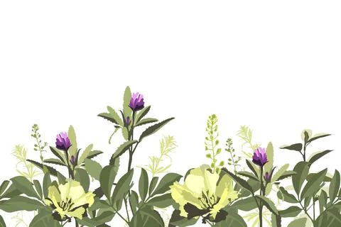 Vector floral seamless pattern, border with yellow and purple flowers 스톡 일러스트