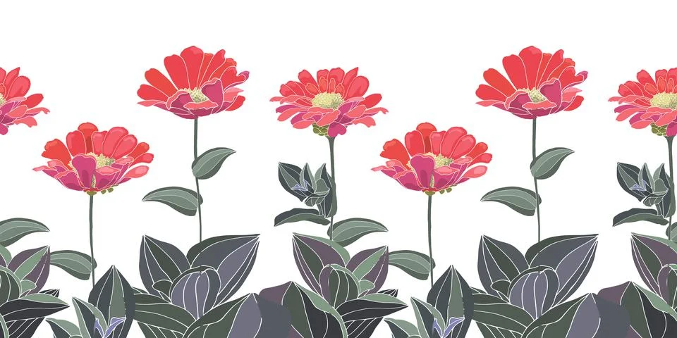 Vector floral seamless pattern, border. Red zinnias with green stems and leaves Stock Illustration