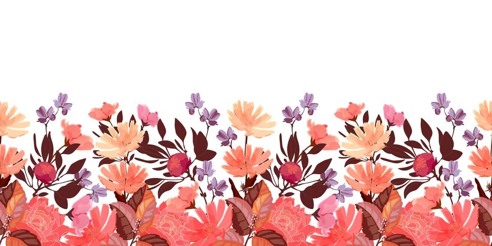 Vector floral seamless pattern, border. Chicory, peony flowers, buds. 스톡 일러스트