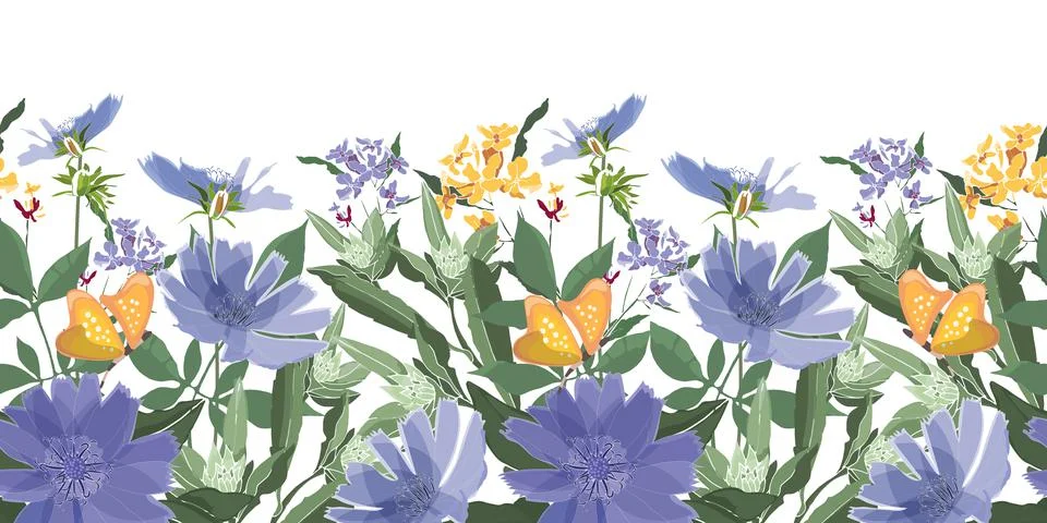 Vector floral seamless pattern, border. Blue chicory, yellow butterflies, green Stock Illustration
