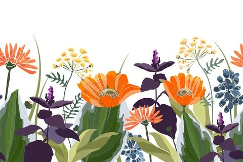Vector floral seamless pattern, border with flowers, leaves and herbs. 스톡 일러스트