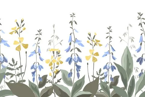 Vector floral seamless pattern, border with meadow flowers and herbs. Stock Illustration