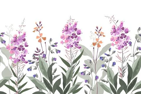 Vector floral seamless pattern, border with willow-herb. Illustrazione stock