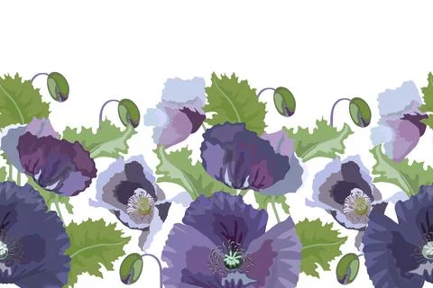 Vector floral seamless pattern, border. Lilac poppies, green leaves and buds on Illustrazione stock