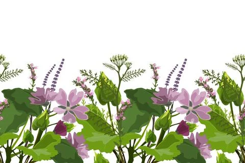 Vector floral seamless pattern, border. Horizontal panoramic design with mallow Illustrazione stock