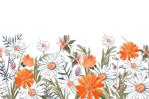 Vector floral seamless pattern, border. Horizontal panoramic design with w... Stock Photos