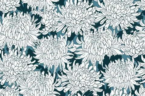 Vector floral seamless pattern with chrysanthemums. White flowers. Stock Illustration