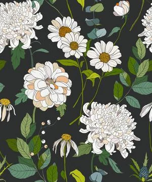 Vector floral seamless pattern of chrysanthemums, daisyes and chamomiles. Hand Stock Illustration