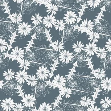 Vector floral seamless pattern with dark blue chicory flowers. Stock Illustration