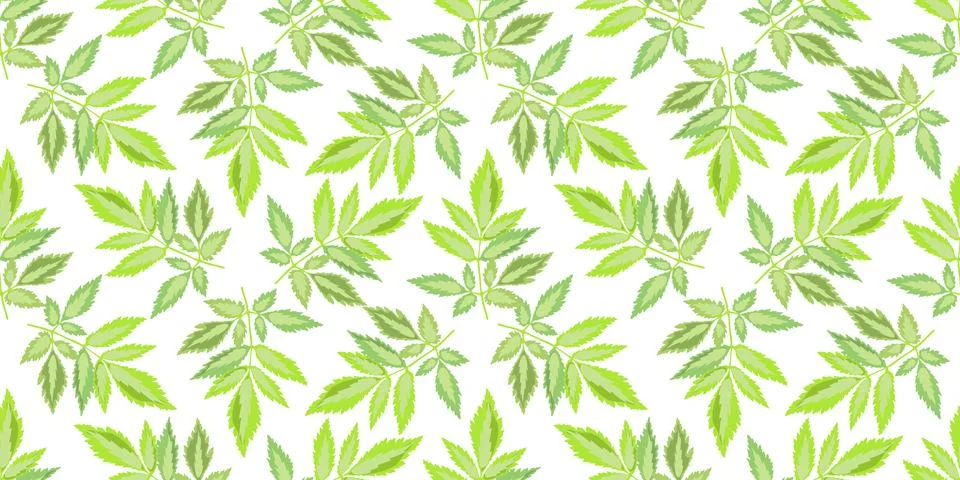 Vector floral seamless pattern. Green leaves isolated on a white background. Stock Illustration