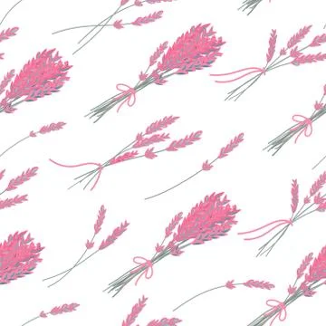 Vector floral seamless pattern with hand drawn herbs. Pink lavender on white Stock Illustration
