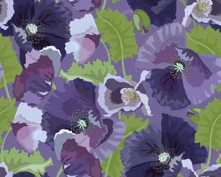 Vector floral seamless pattern. Lilac poppies, green leaves and buds on a ... Foto stock