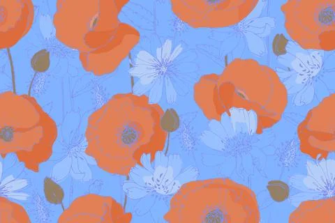 Vector floral seamless pattern. Orange poppies, blue chicory. Stock Illustration