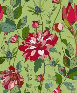 Vector floral seamless pattern of red and pink chrysanthemum. Hand painted Stock Illustration